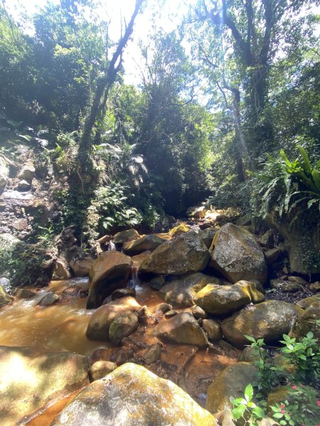 《陽明山秘境健行｜翠峰瀑布 × 天母古道 夏日涼爽路線》2852214