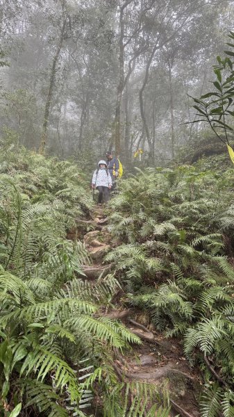 20250101內鳥嘴山北得拉曼步道2681572
