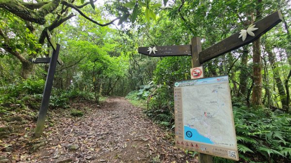 清涼的坪溪、石空古道連走上太和山2153423