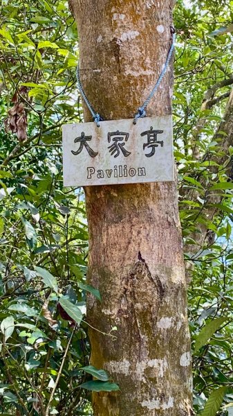 棚集山(小百岳#78)2800381