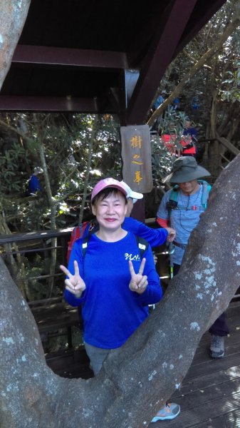 【臺北親山拓印趣】林蔭青蔥的大崙頭尾山738363