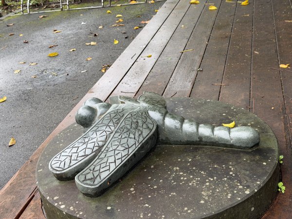 [樟之細路_第一大段RSA01] 2026_0329 大平紅橋3026651