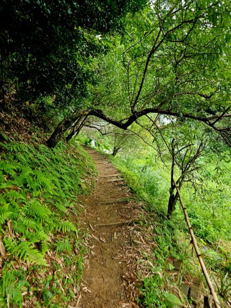 (二格山系)銀河洞越嶺-2025微笑山線大縱走尋寶集章任務2855217