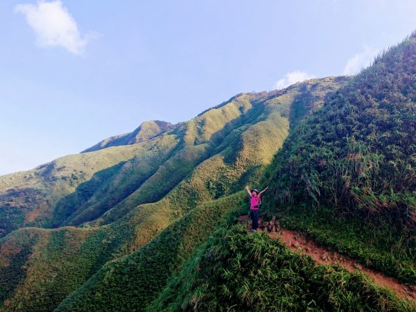 去了還想再去的抹茶山（聖母山莊）1029589