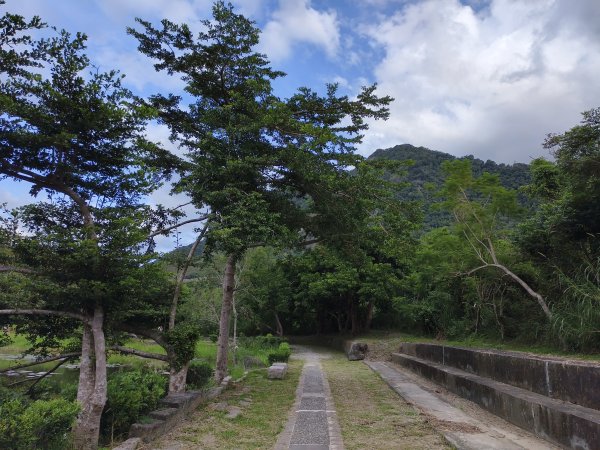 [漫遊縱谷 愛在花東-04/10] 2025_1011 羅山村竹林步道2913247