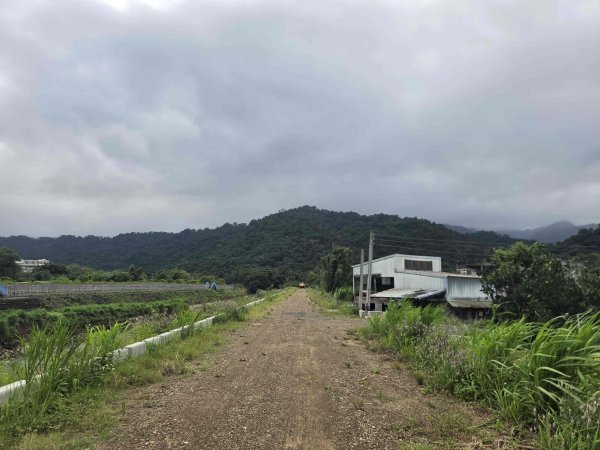 20261026祖眉坑山新路-紫微-六寮崙山西南峰