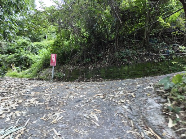 [玉山尋寶任務-07/12] 2025_0824 八通關雲龍瀑布步道2870436