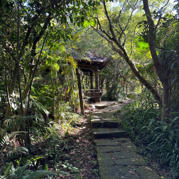 大崙頭山、大崙尾山2922661