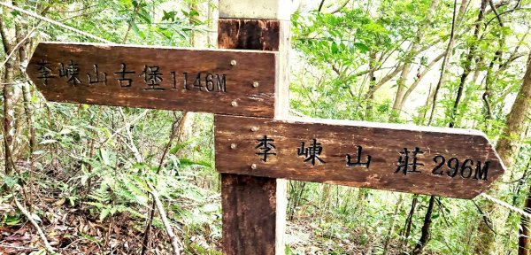 【中級山】隱藏在尖石的神秘古堡，昔日兵家必爭之地，新竹李棟山2744564
