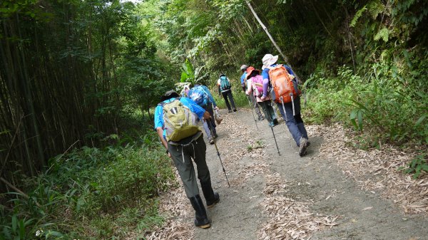 鵝公髻山登山健行趣(小百岳31號)1524815