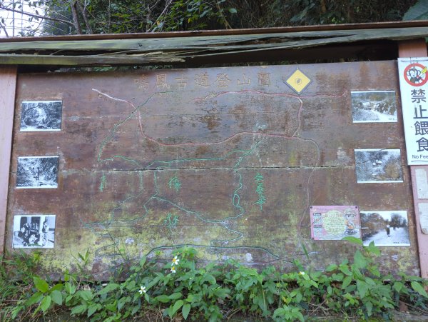 2025.11.15－鳴鳳古道2942984