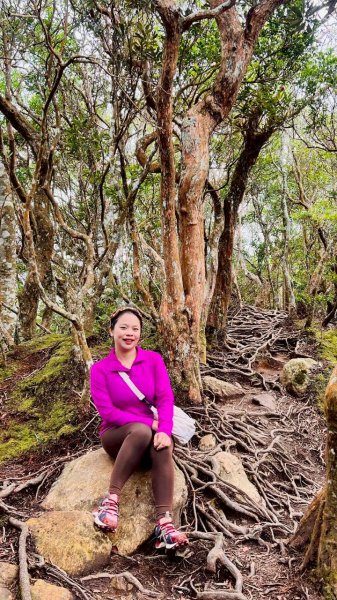 🌈12/28（日）北得拉曼神木+內鳥嘴山✨FB：熊熊趴爬走🌈2971290