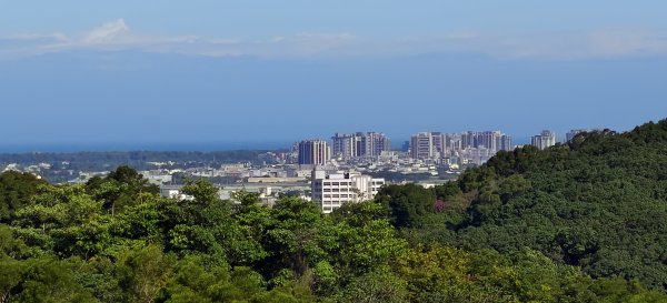 2025/11/09-青青草原步道2933466