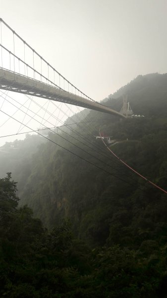 太平雲梯到橋步道787524