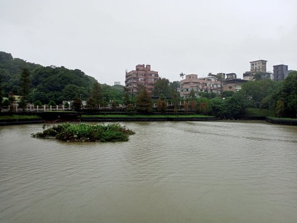 大湖公園 (防災公園)【走路趣尋寶，全臺齊步走】1895268