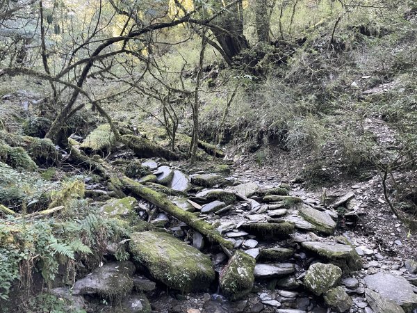 干卓萬橫斷 2024 11/29 四天三夜2865567