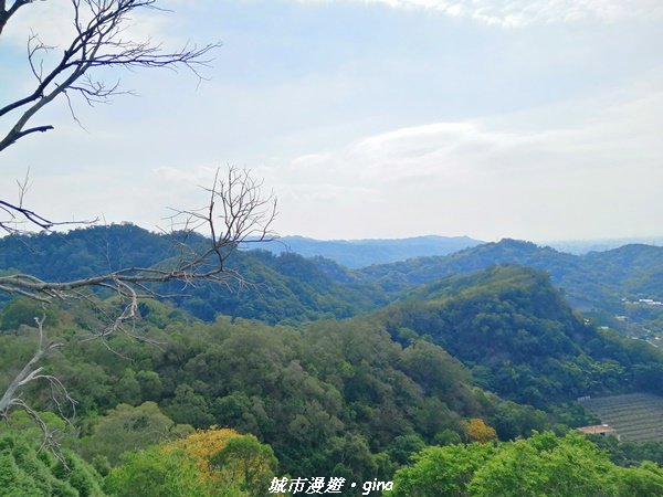 適合賞景健身親子型步道~鳳凰山觀音山步道1244207