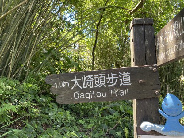 內雙溪的消暑密碼｜走一趟坪頂古圳就懂2873117