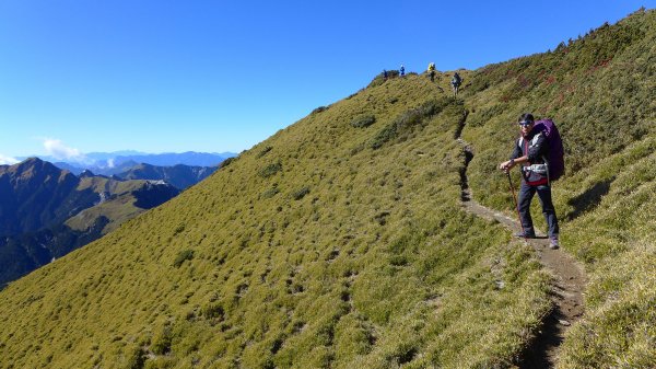 大好天氣的奇萊東稜488904