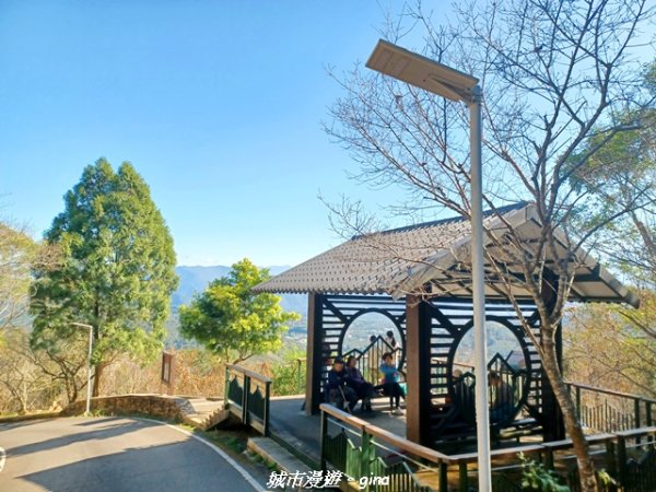 【南投魚池】郊山好視野。 金龍山(槌仔寮山)步道2976298