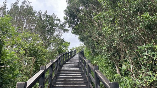 基隆的十八傘人家族2782872