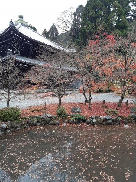 【海外健行】知恩院-大谷祖廟-円山公園-坂神社散策1939286