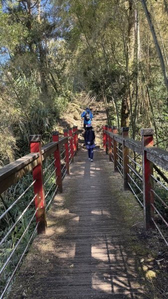 20250124小百岳 梨仔腳山及大尖山2703374