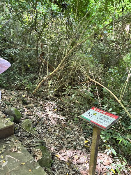 龜山島 401 高地登島2899104