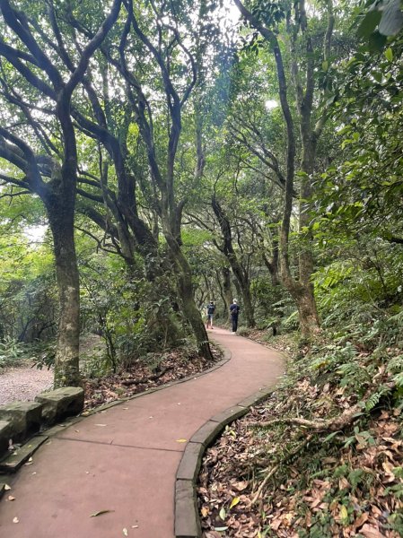 台北｜北投．士林 臺北大縱走第一段1487825