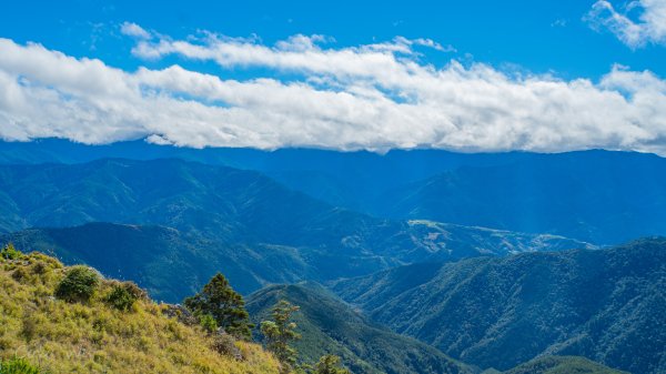 雪山東峰壯麗的山景&動植物1521798