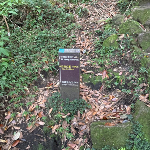 七星山苗圃路線2922635