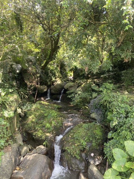 遺世古道的綠意與寧靜｜狗殷勤古道×至善園→平菁街健行路線2852137