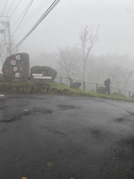 迷糊步道3062535
