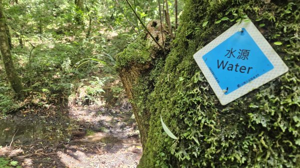 20250730烏來三山下紅河谷2848722