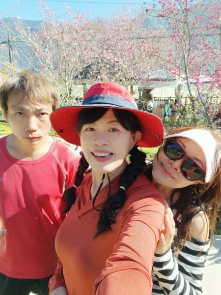 南投草坪頭2714112