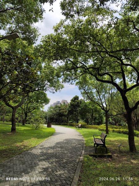 大安森林公園【走路趣尋寶】【臺北健走趣】2536143