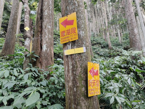 向天湖山11501252988126