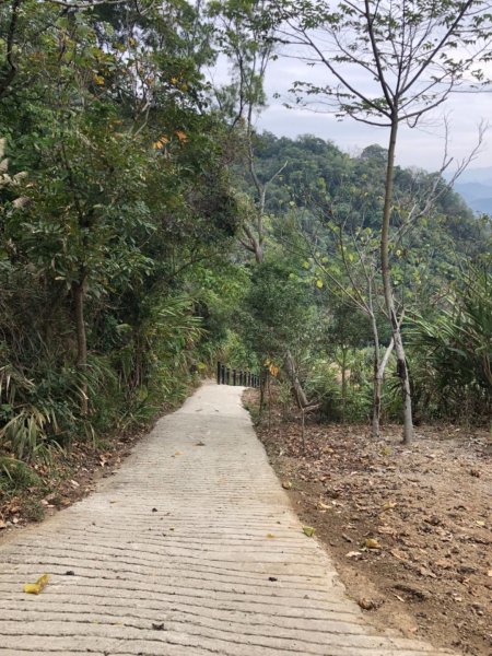 2019.01.19 三汀山509713