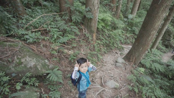 四歲小樂的第十座小百岳-加里山1012677