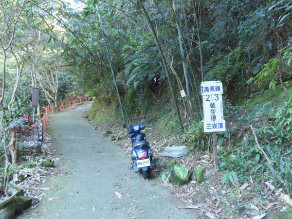 豐原三崁頂健康步道3上2下O形2696132