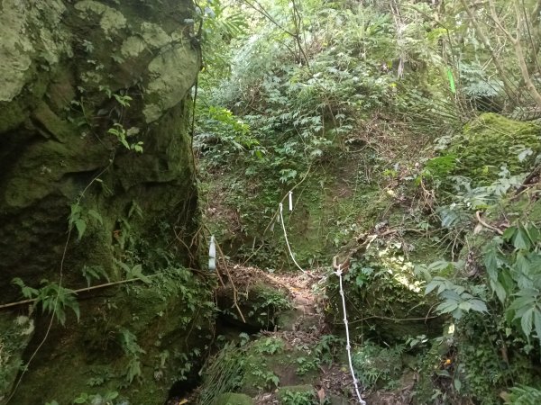 平溪區南山坪蝙蝠洞(濕洞)+平湖山+平湖尖+蝙蝠洞(乾洞)O型2833879