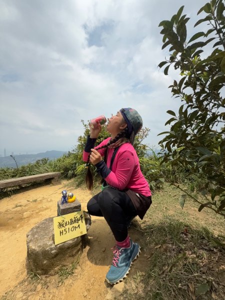 銀河洞越嶺貓空-新高麗坑山-銀獅縱走-猴山岳群峰+三條魚縱走2765414