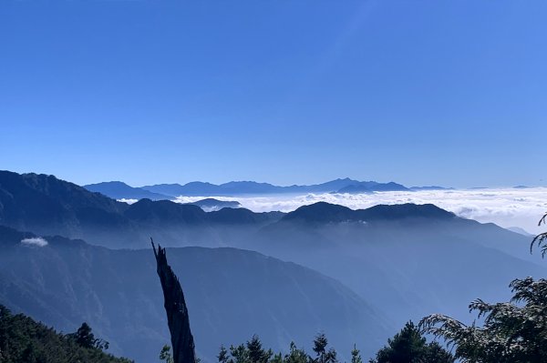 台中和平｜大雪山國家森林遊樂區｜小神木一點也不小．遠眺群山雲海大景1574361