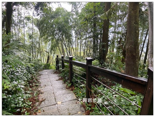 太興岩步道、萬鷺朝鳳、巧雲小棧 (嘉義 梅山)2886379