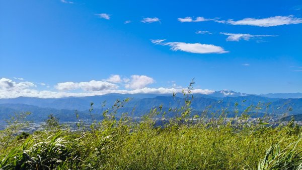 叮叮叮：一個人的微笑山線😊2917418