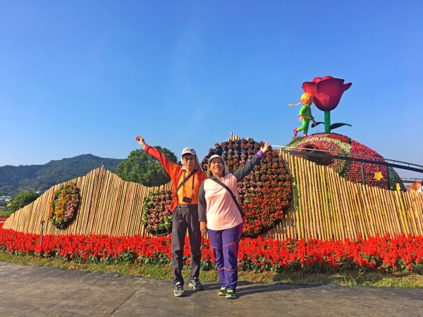 2019新社花海2019/11/12734653