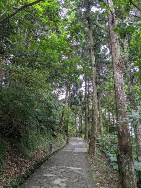 東眼山國家森林遊樂區1056010