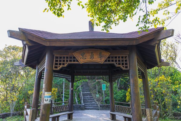 [台北]大崙頭山、碧山巖、忠勇山2746212