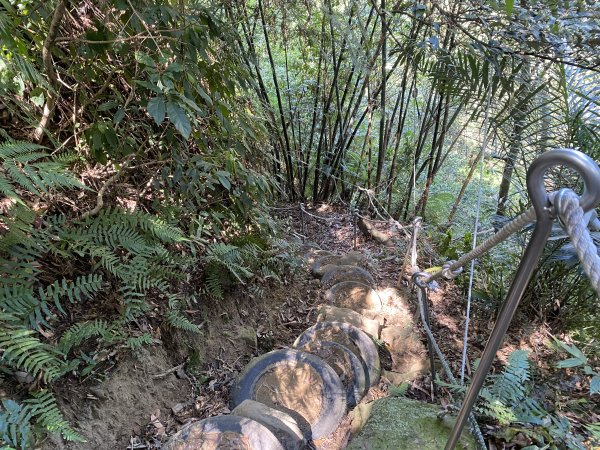 2025微笑山線大縱走尋寶集章任務-Ep.03【鳶山山系】鳶山彩壁段2893686