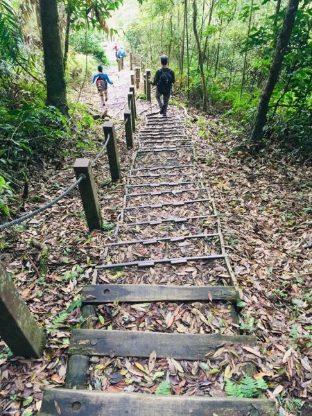 瓏美麗一週一步道（馬那邦山）558302